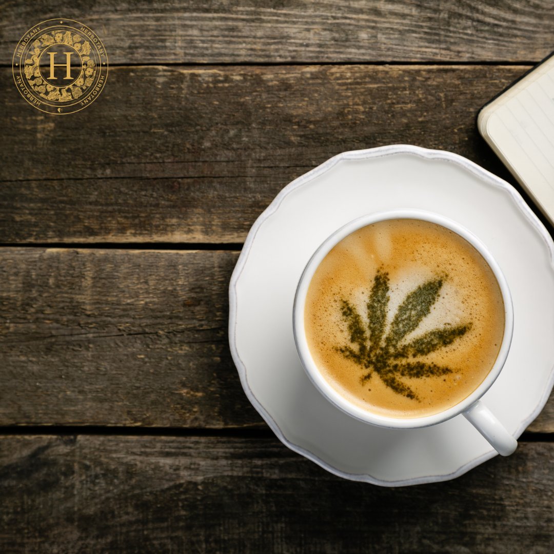 CBD #Coffee benefits ☕

Some believe CBD coffee is like pushing two magnets against each other - or opposites colliding. But this subtle mix of caffeine and #CBD extract creates a mood-balancing, stress-relieving effect – even after the third or fourth cup!