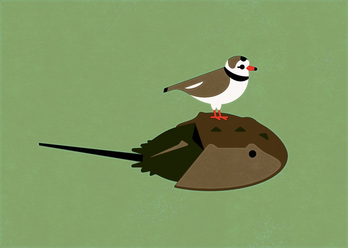 hootalex's tweet image. Beep beep! A friendly reminder that I share my work many places other than Twitter- check out my bio for more info! 🐦💻