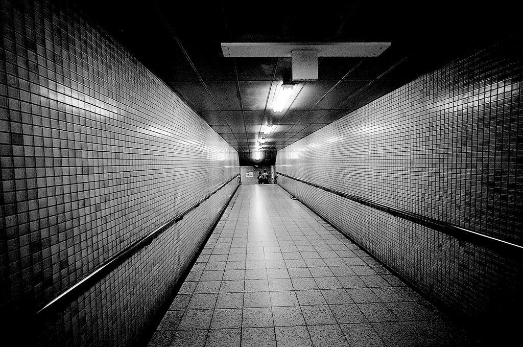 Archillect (@archillect) on Twitter photo 