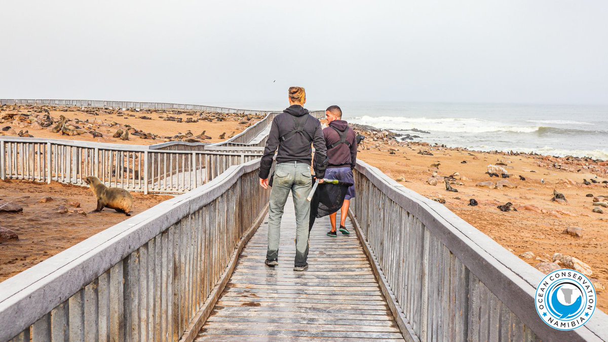 Team on the Cape Cross walkway, getting ready to find some entangled seals! #LetsTalkPlastic - did you know that the number of marine animals affected by entanglements has doubled since 1997? #ocn #sealrescue