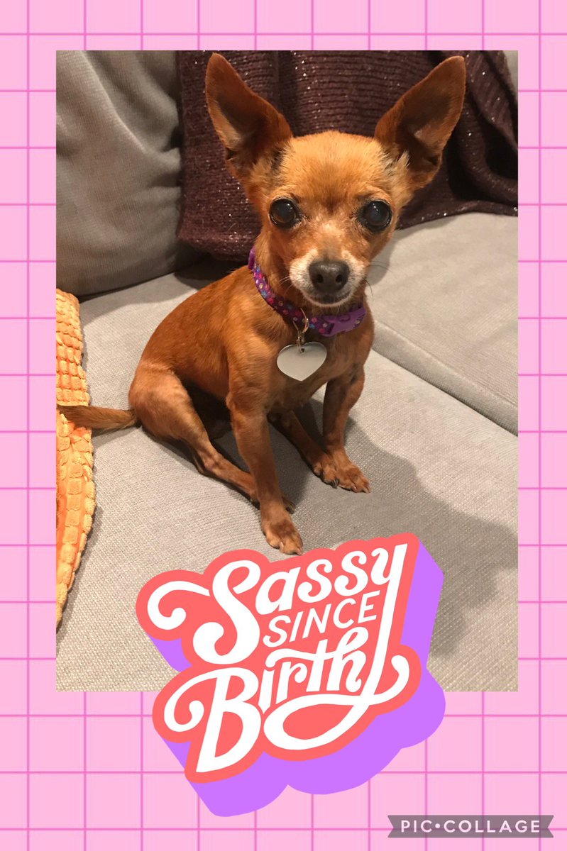 truecrimeandcocktails🔎🍸 tweet media