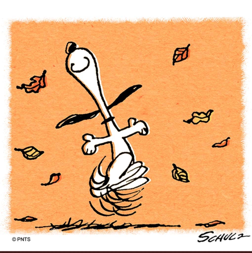 Alexandre Boyes tweet media