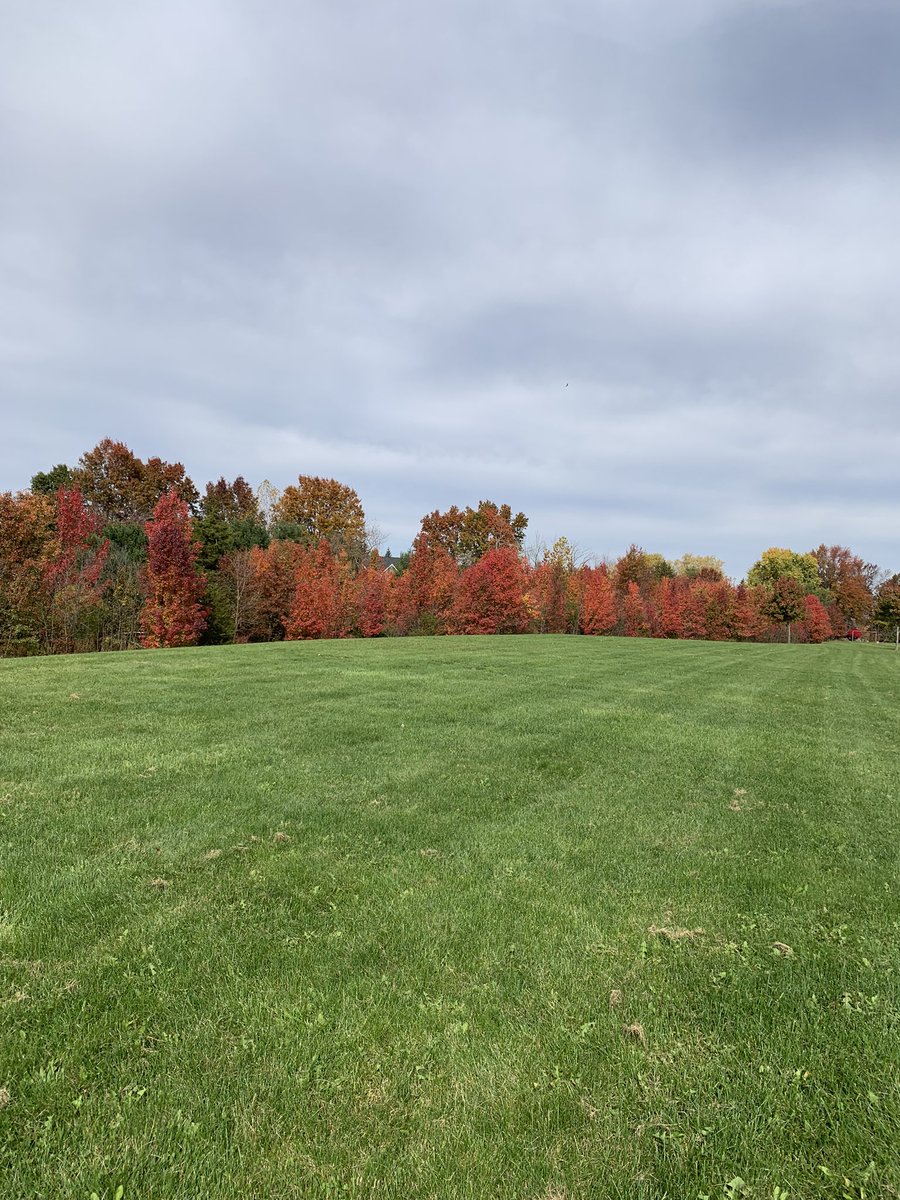 We enjoyed a scavenger hunt outside this afternoon with our fourth grade buddies. We are so lucky to have this beautiful space. <a href="/SASD_Vernfield/">Vernfield Elementary</a> <a href="/Gavin_Sonntag/">Gavin Sonntag</a> 🍁🍂🌾