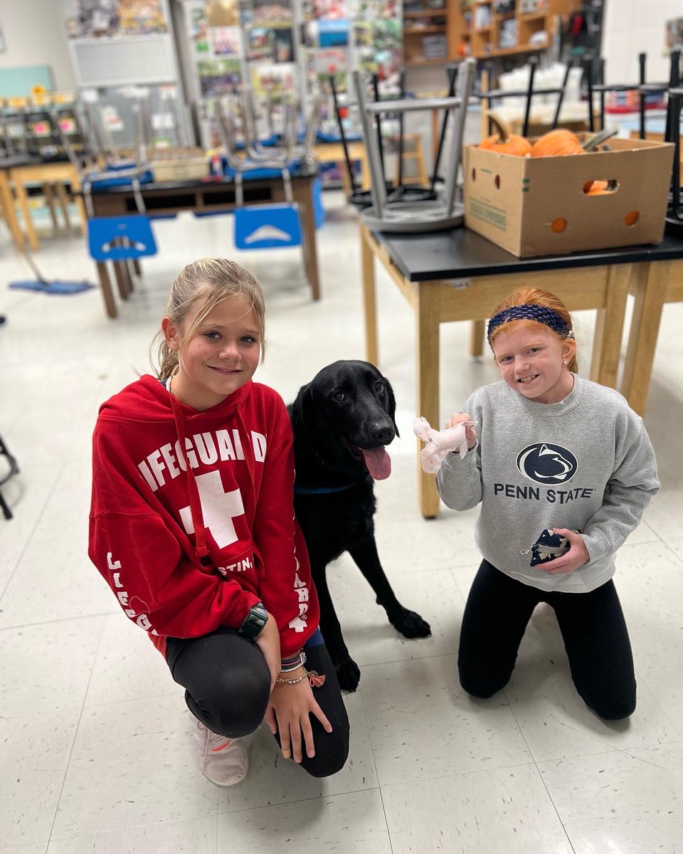 FSSDTobin's tweet photo. Played fetch with friends, enjoyed a pup cup, played with a pumpkin (they roll like a soccer ball), even had a new toy made for me by a couple of friends in Gentry’s Sewing class.  What and awesome week!  Now, it’s time to rest up and recharge for next week. #fssdtherapydogpack https://t.co/6ZnUyibOOT