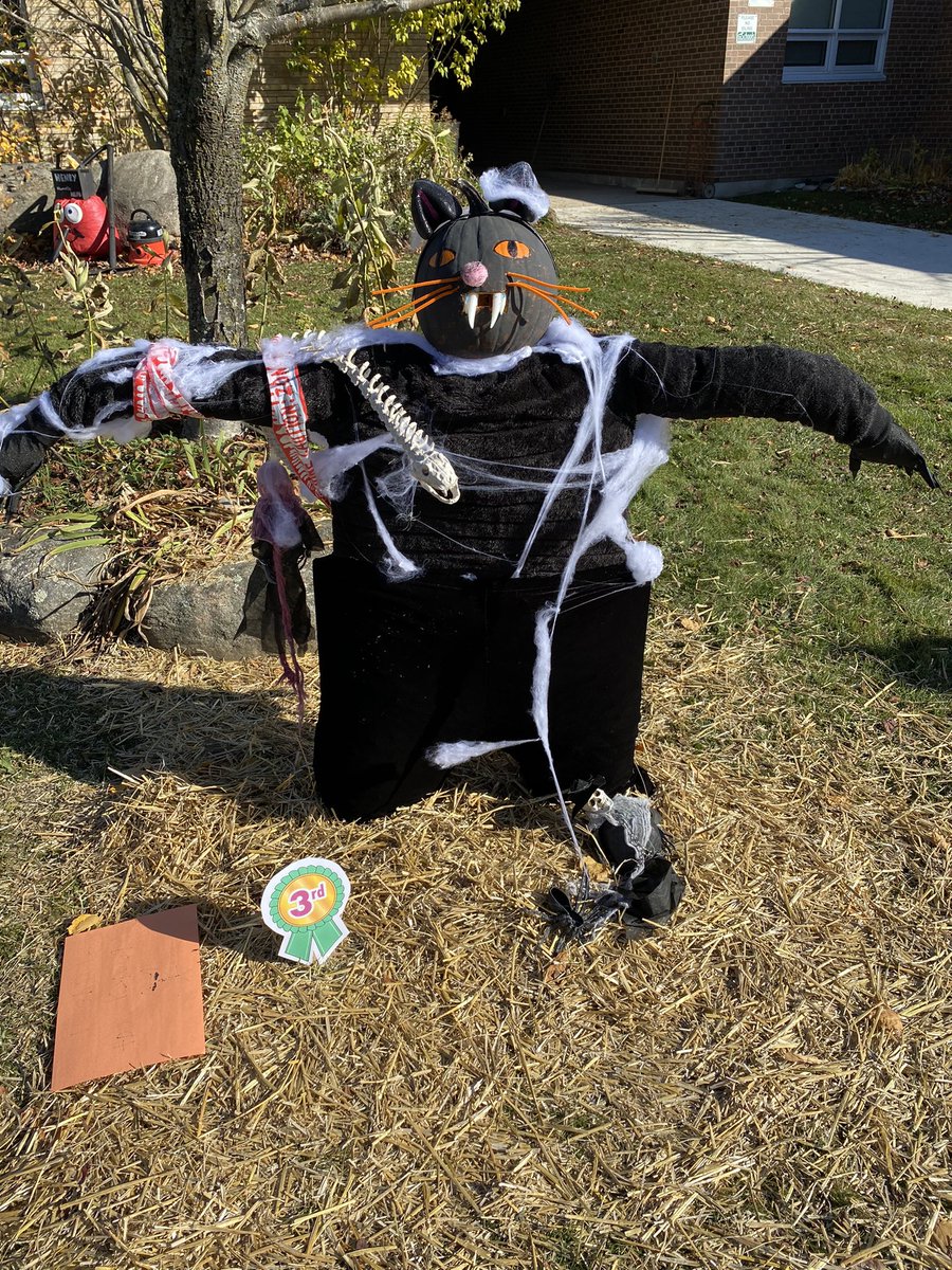 Take a look at our 1st, 2nd &amp; 3rd place winners for our scarecrow contest today! Congrats to these sweet classes! <a href="/FenelonTownship/">Fenelon Township PS</a> #tldsblearns <a href="/HollyEarp25/">Holly Earp</a> <a href="/BarrowsBatch/">Paula Barrow</a> <a href="/MsStaples1/">Ms. Staples</a>