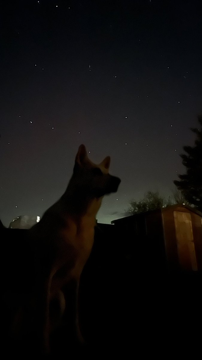 How it started, how it’s going. 

What a week it’s been hosting the Flow Country Conference at <a href="/ERI_UHI/">eri</a> @UHI_NH. 

Couldn’t ask for a better end to the week than seeing #Aurora from the garden. Dram of @wolfburn_whisk <a href="/HPSterk/">Dr. Henk Pieter Sterk</a>? 

@UHI_Research @Flowsresearch