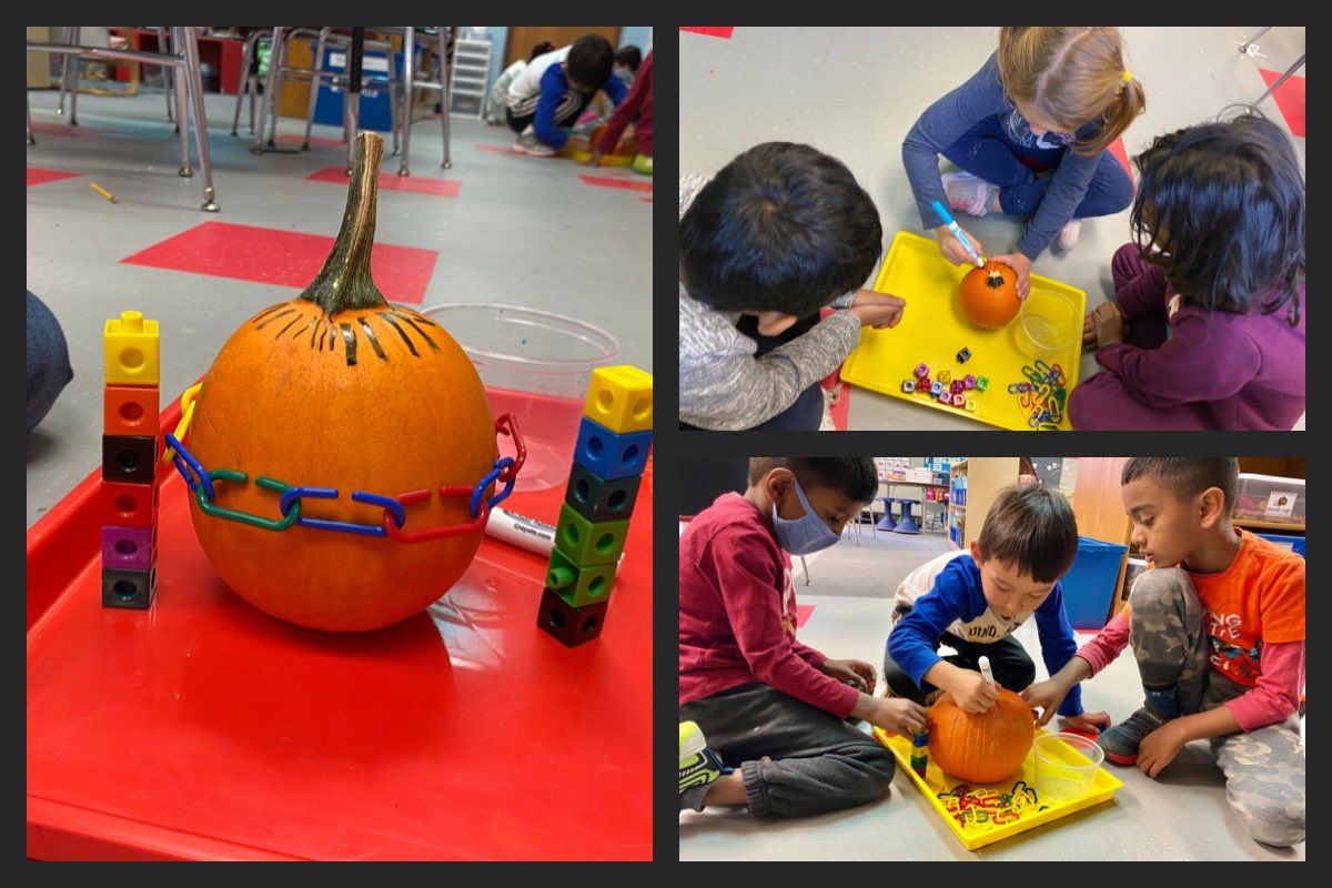 What better way to learn about pumpkins than to touch, feel, and investigate? K students learned about the life cycle of pumpkins then spent time measuring and exploring. #martellkinders #onetroy