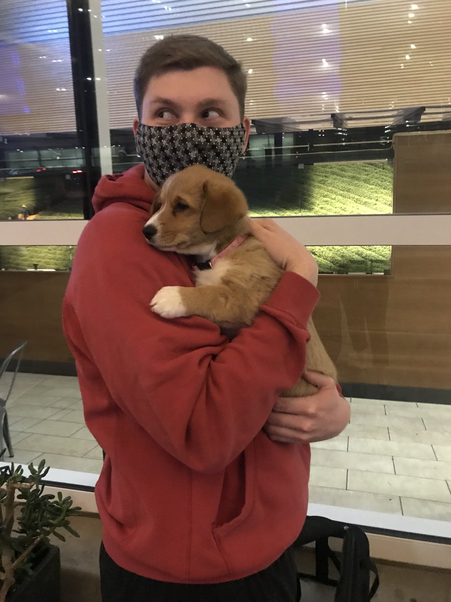 TheRealDogBlogx's tweet image. There can be a lot of excitement, fear, and challenges when it comes to buying a dog, let us help! Learn how to protect yourself when adopting.
dogblog499428134.wordpress.com/?fbclid=IwAR3w…

#Adoption #DogAdoption #BuyingDog #Dogphishing #AvoidScams #AvoidDogScams #Dogscam #HowToBuyADog #DogBlog