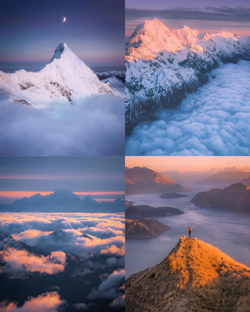 Rach Stewart tweet media