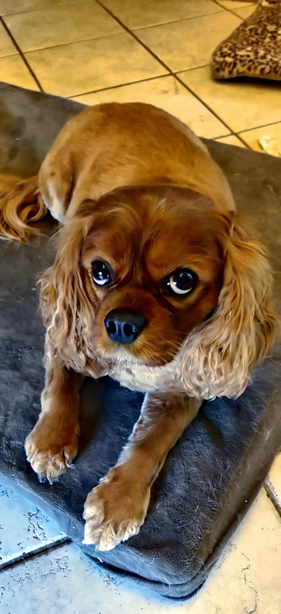 timhill (@timhill20) on Twitter photo 