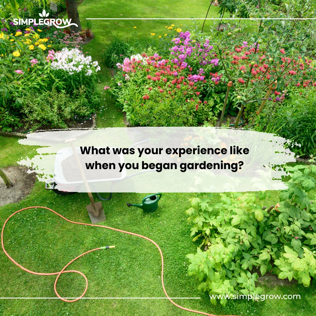 Simple Grow tweet media