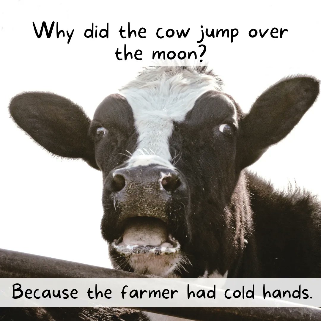PolywestLtd's tweet photo. #FarmJokeFriday! Well this one is udderly ridiculous, we love it. π
Have a great weekend!
#AgTwitter #CdnAg #WestCdnAg #Agriculture #FridayFeeling #harvest22 #farmers #farming #FarmLife https://t.co/ezl2niFeOZ