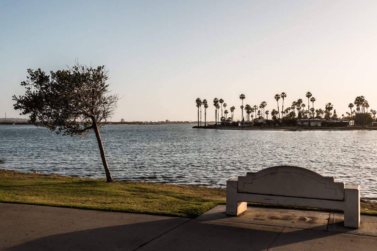 That Friday afternoon moment of serenity along #MissionBay 🌴
 
#DiscoverMissionBay #VisitSD #VisitSanDiego #sandiegoliving #sandiego