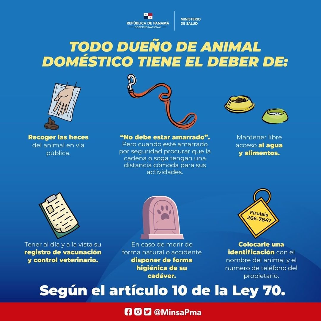 TReporta's tweet photo. Conozca qué conductas constituyen faltas o delitos contra los animales, y las responsabilidades de los dueños, según la Ley 70 sobre la Protección de los Animales Domésticos. #TReporta https://t.co/mUm1JyFkG5