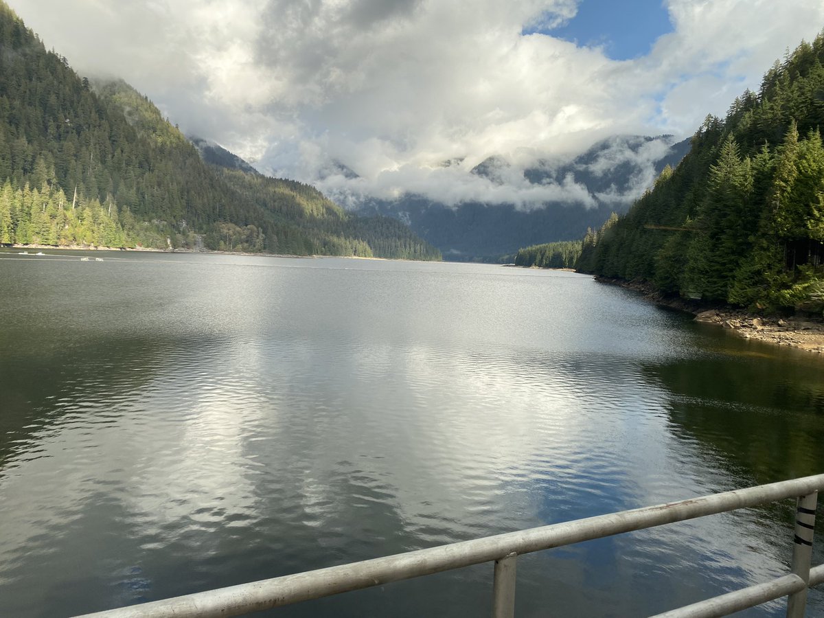 Brittany Fleury tweet media