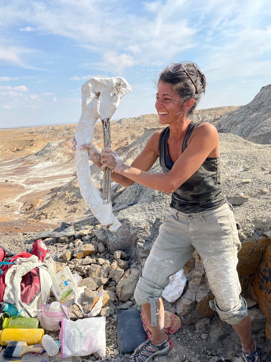 Lindsay Zanno tweet media