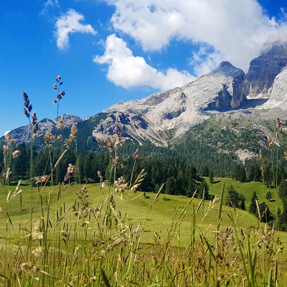 Foto random dal Trentino per testare l'integrazione con Twitter :)
#test