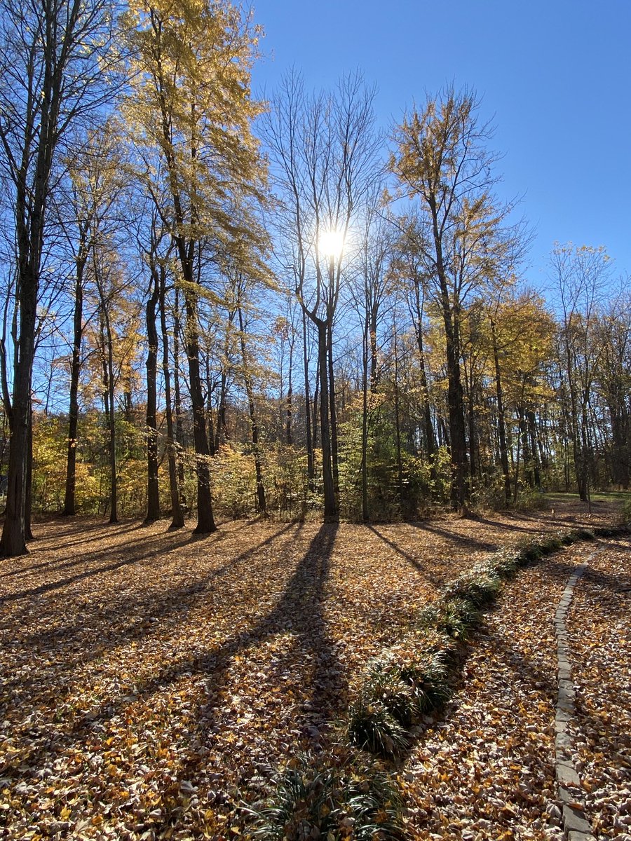 Dawn Tolonen tweet media