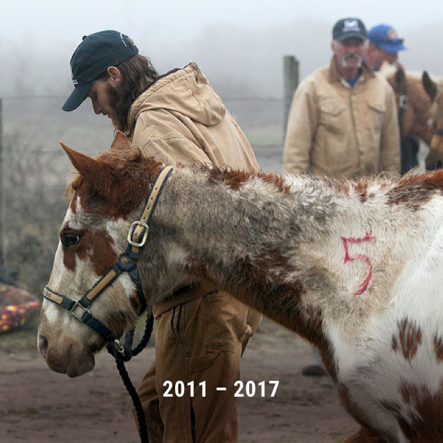Habitat for Horses tweet media