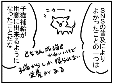 ブログ更新!『SNSの子猫』 ⇒ 