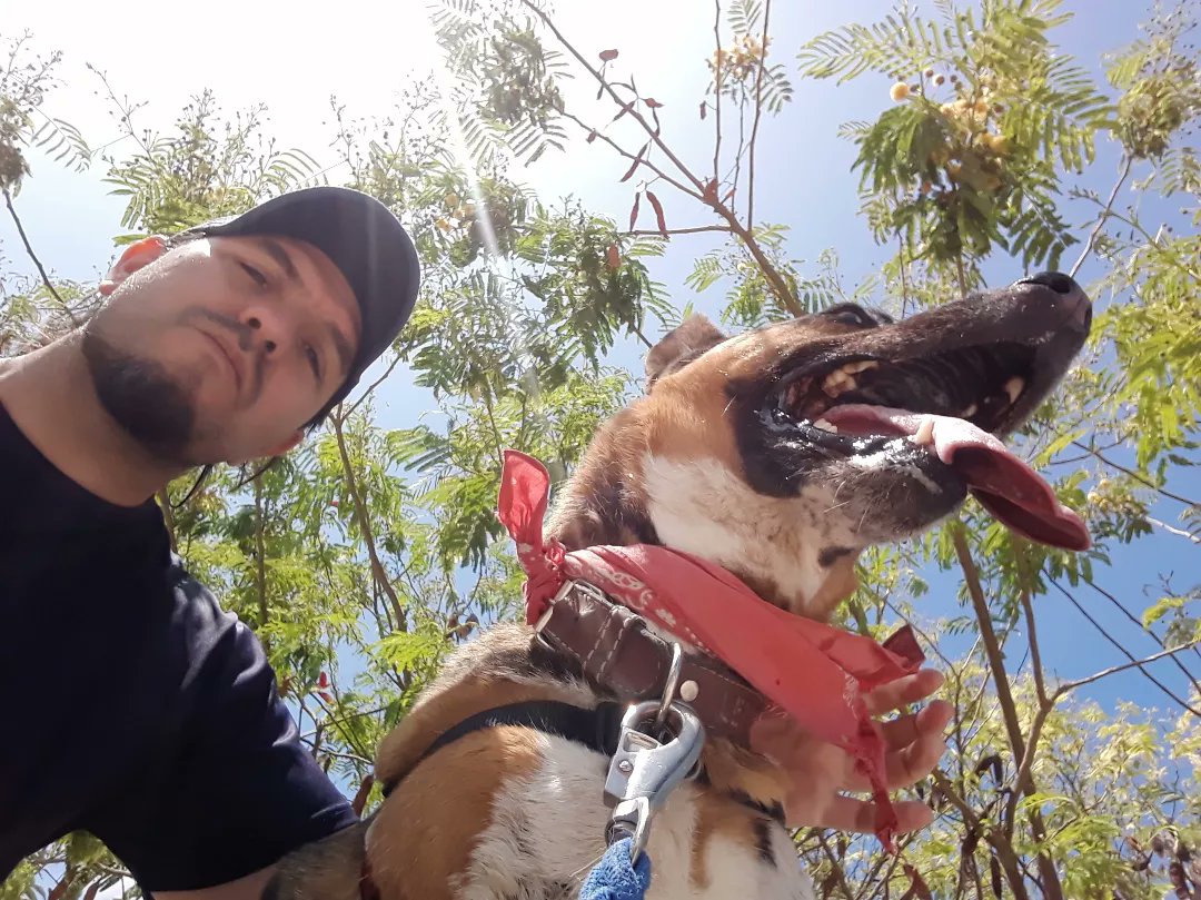 tom_ratm_237's tweet photo. 🐸🐶
Lemmy
#Perritos #PerrosAdoptados #PerrosRescatados #TenenciaResponsable #adoptaNoCompres #amputee #tripoddogs #Tripawds https://t.co/ZTEhgz8Ptc