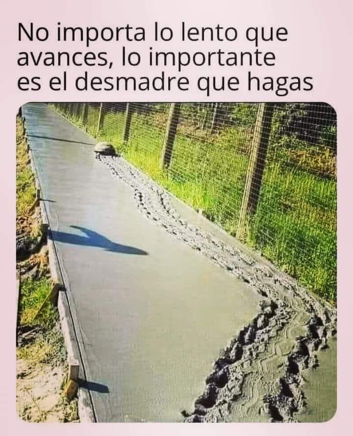 #constancia 
#disciplina 
#esfuerzo 
#perseverancia 
#resilencia