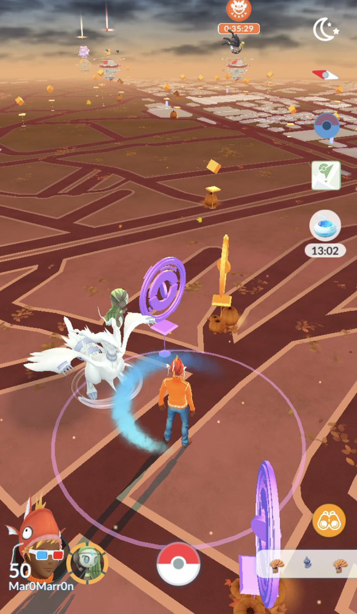 MaroPokego's tweet image. レシラム出てきてびっくり…ゾロアでした😂