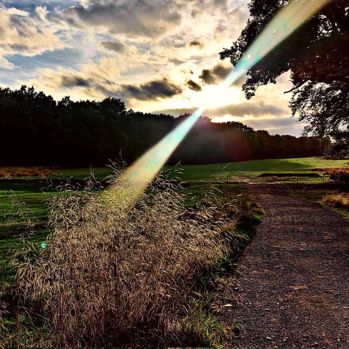 kim22mundy's tweet image. Difficult doesn't mean impossible...it simply means that you have to work hard...always be a work in progress 🙌
#golfgrind #practicemakesperfect #nevergiveup
Feeling blessed for these stunning views @golfshopbrok @BrokenhurstGC #NaturePhotography #GratefulHeart #nofilter  💛