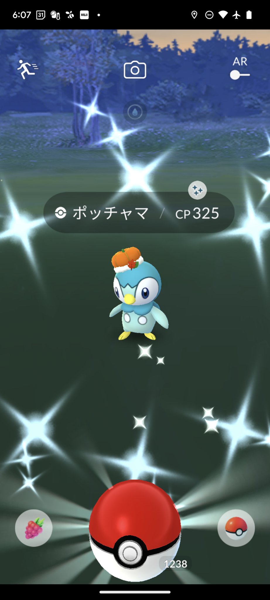 色違いポッチャマ Twitter Search Twitter