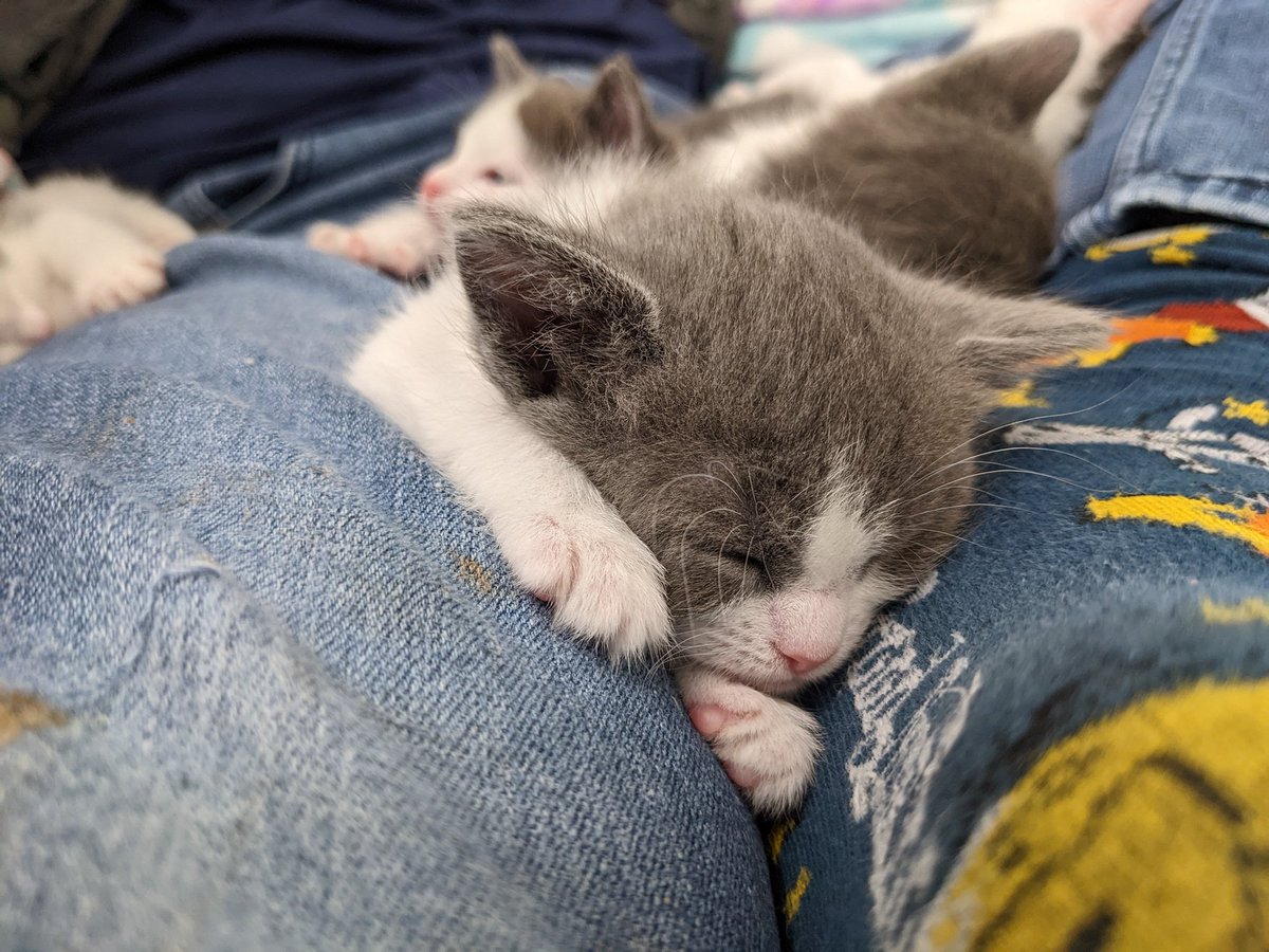 I'm sorry you can't all experience this first-hand.  It does make things better.