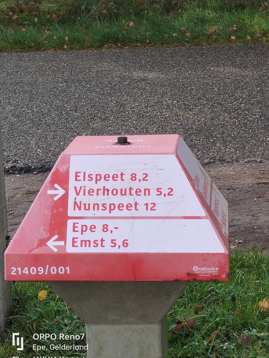 TuukJannie's tweet image. #mijn week in vier #foto's
#Paddenstoelen en #Herfstkleuren