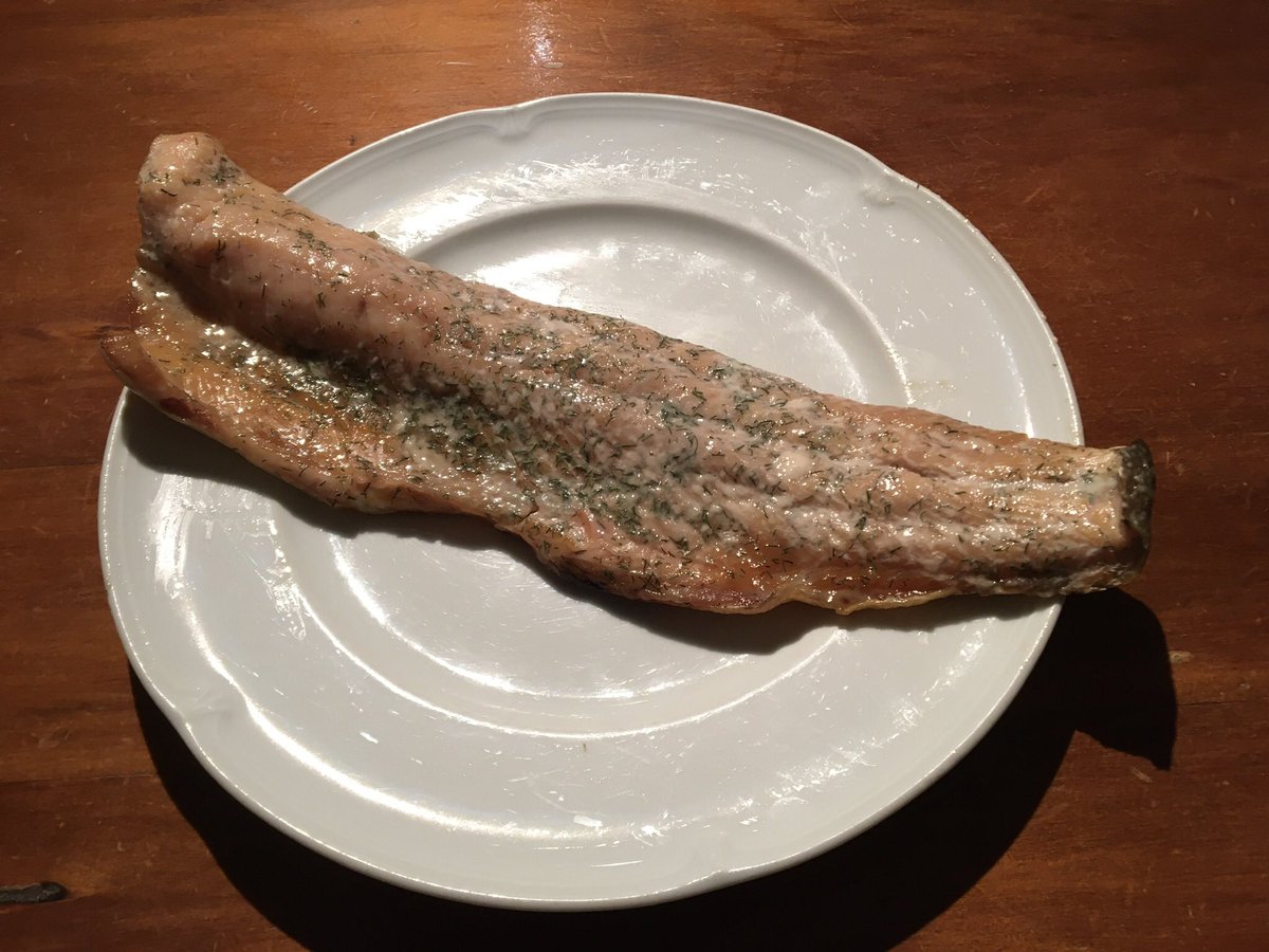 LiamMcIlvanney's tweet photo. For some reason you can’t buy trout in the shops in NZ, but if your mate catches one in the Waitaki River, and smokes it for you, you can certainly eat it. Superb! 👌#troot https://t.co/VbA9BhyAwH