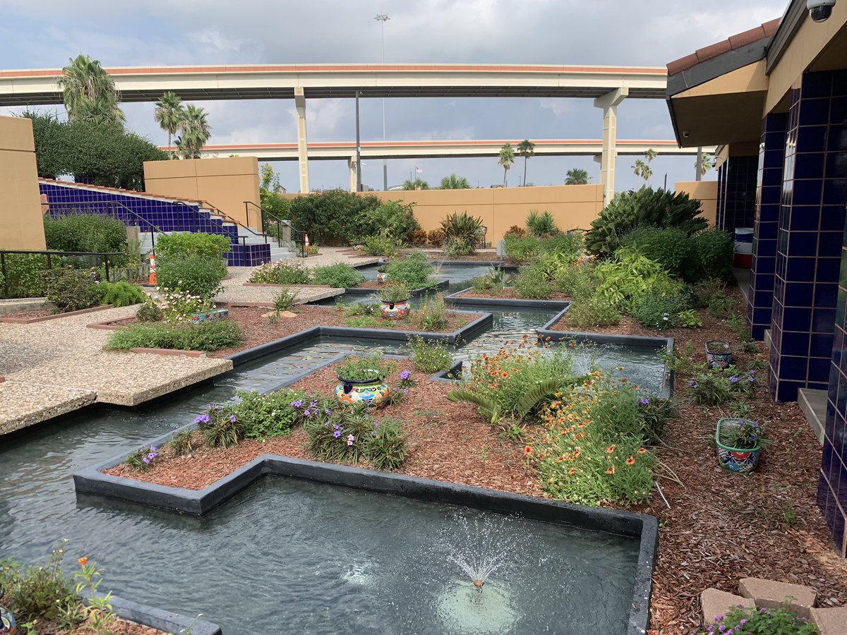 TxDOTCEO's tweet photo. Our Harlingen Travel Information Center is a great little oasis with a great team that welcomes visitors. https://t.co/zHd1peezjh