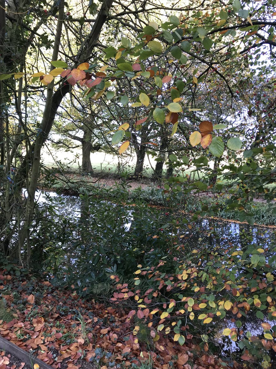 JecarisaJudith's tweet photo. Autumn reflection ⁦@NTRufford⁩ https://t.co/LcxEcB594n
