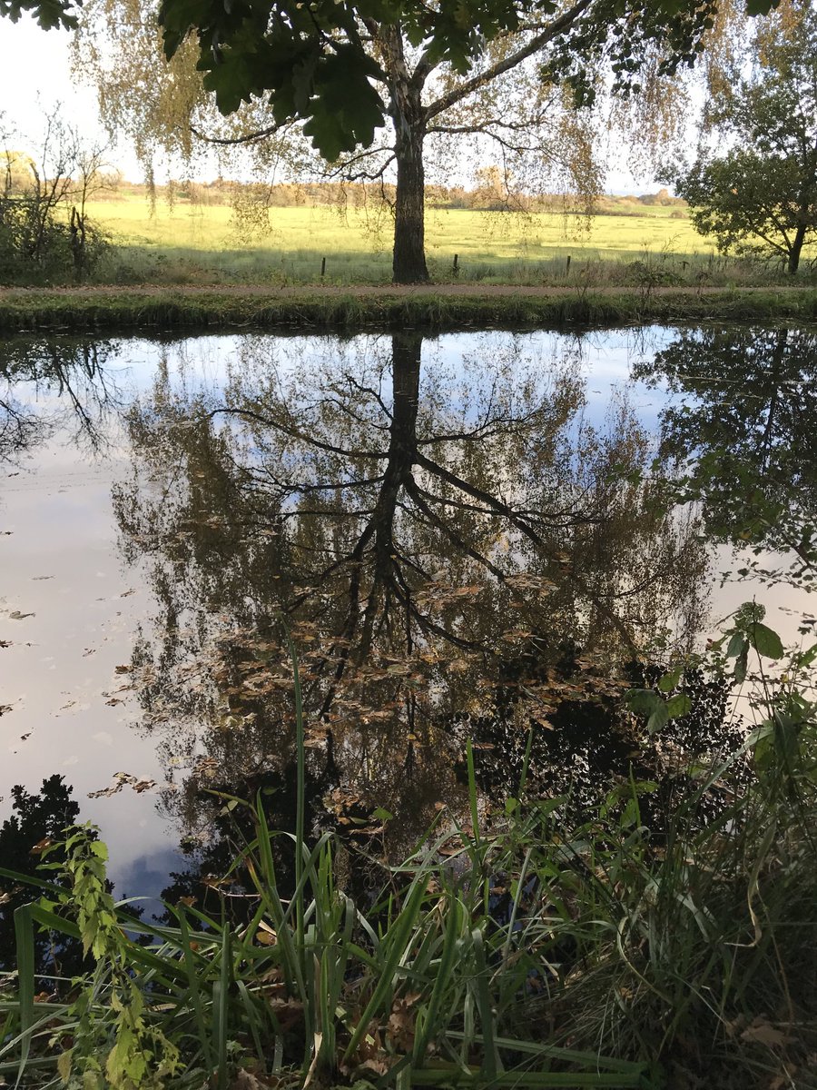 JecarisaJudith's tweet photo. Autumn reflection ⁦@NTRufford⁩ https://t.co/LcxEcB594n