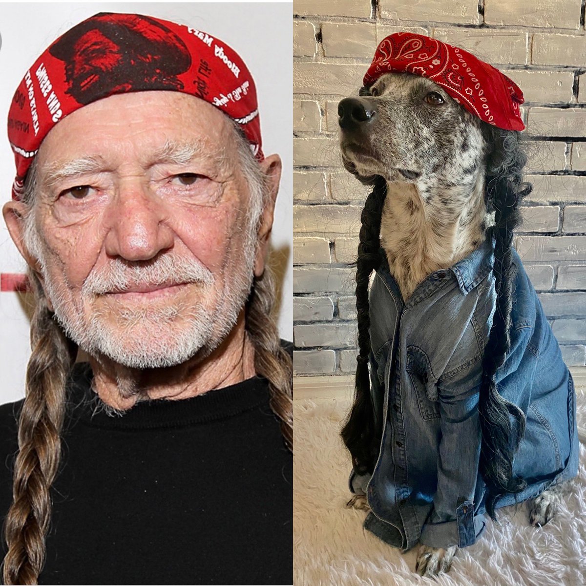 Renee Adams DJ tweet media