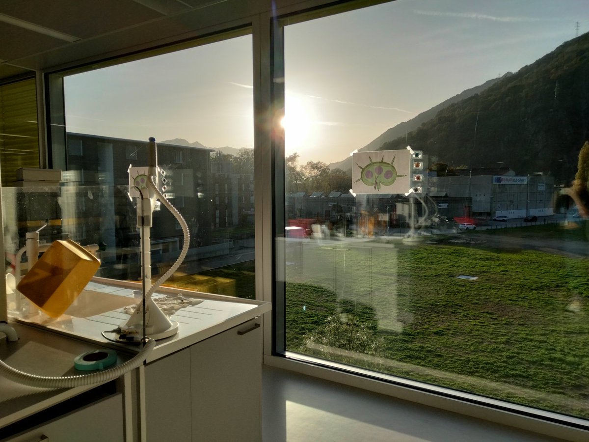 CoralGF's tweet image. The perfect last day in this amazing lab... @IrbLab @c_pizzichetti