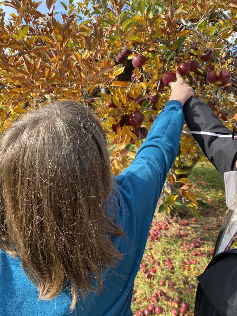 Thanks Alber’s Orchard- we had so much fun picking apples and pumpkins, riding a hayride, and enjoying delicious donuts!