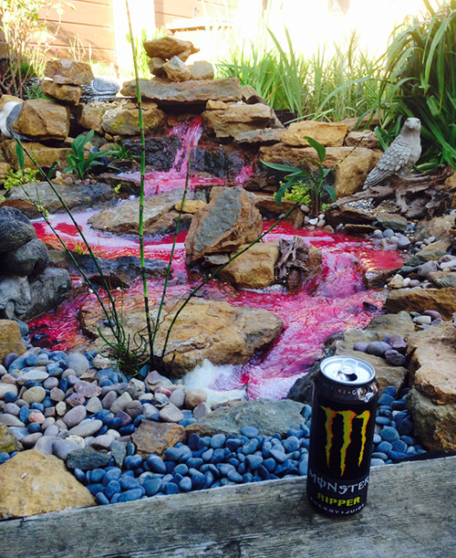 Now this is something that'll get you in the Halloween spirit! MJ Wilson, also known as <a href="/thepondadvisor/">Mark Wilson</a>, dyed his pondless water feature red,...
pondtrademag.com/making-waves-w…

#livingthepondlife #pondless #pondlesswaterfeature #waterfeature #pondtrade #pond #loveponds #water #halloween