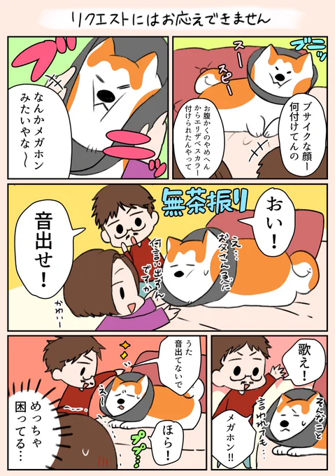 「リクエストにはお応えできません」
深夜にすみません💦
今回は父登場です!😊🌸
うたはよく父の部屋でくつろいでいるので、色々ちょっかいを出されています(笑)

#漫画がよめるハッシュタグ 
#日常 
#家族 
#犬 