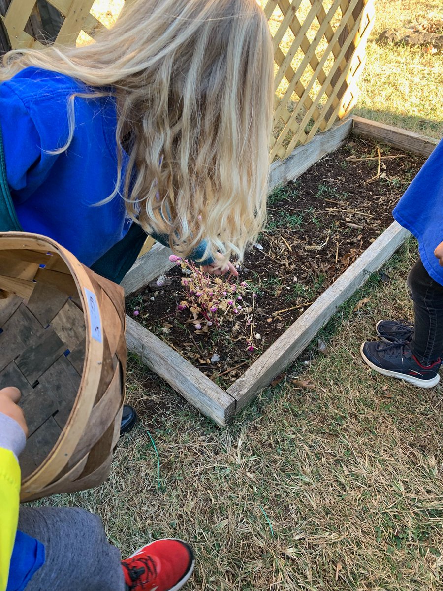 Beaumont Magnet Academy tweet media