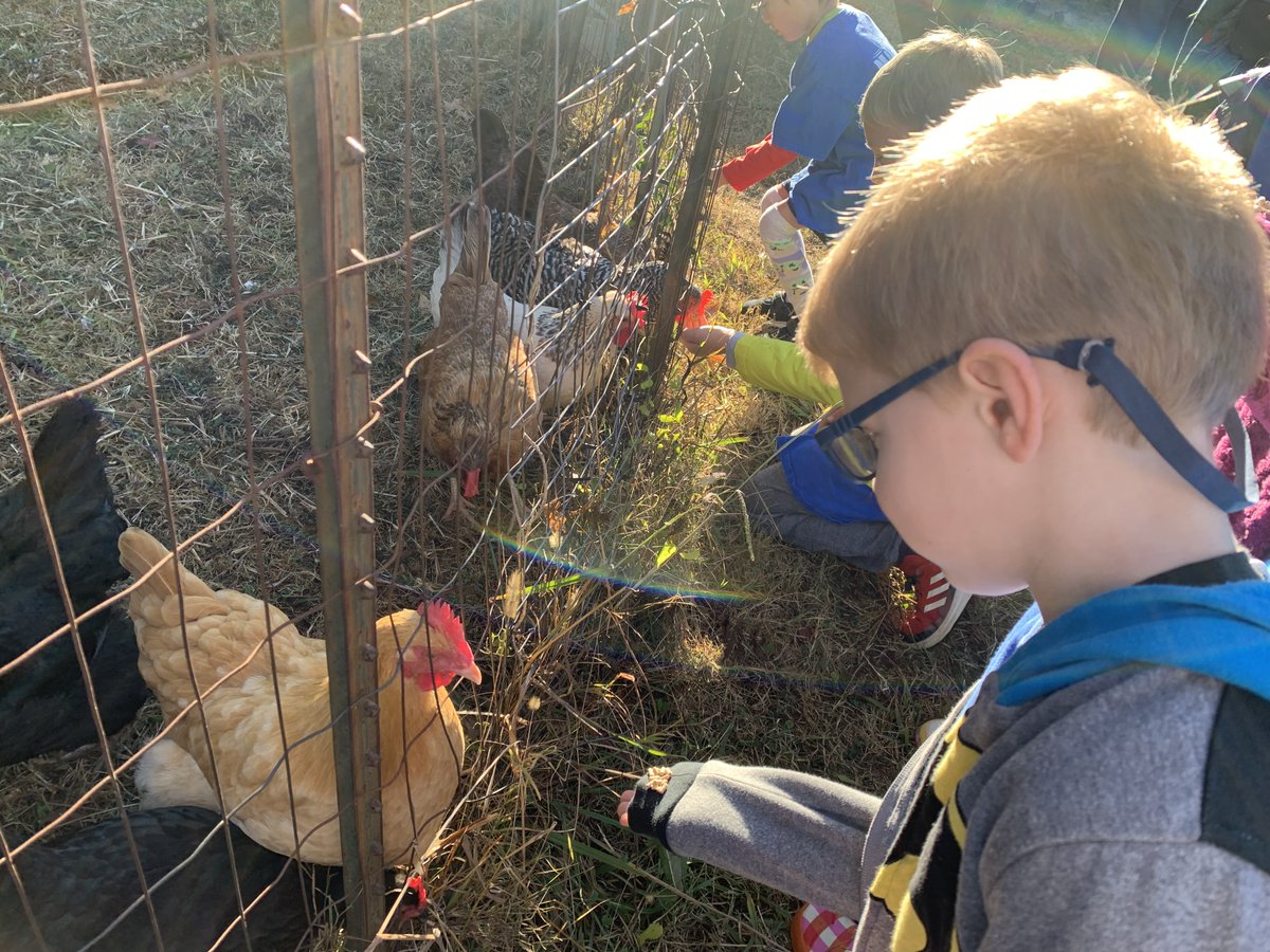 Beaumont Magnet Academy tweet media