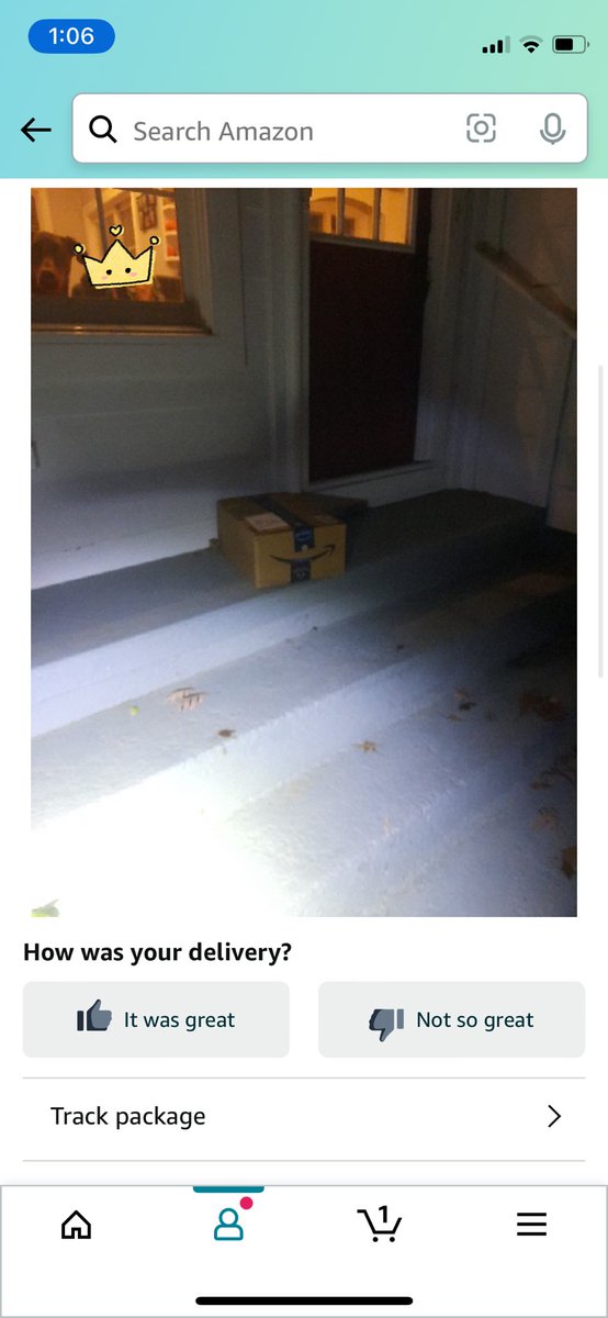 gtbelinda's tweet image. Where's #Waldo?  
Hope the #amazon delivery person did not jump too much #windowdog