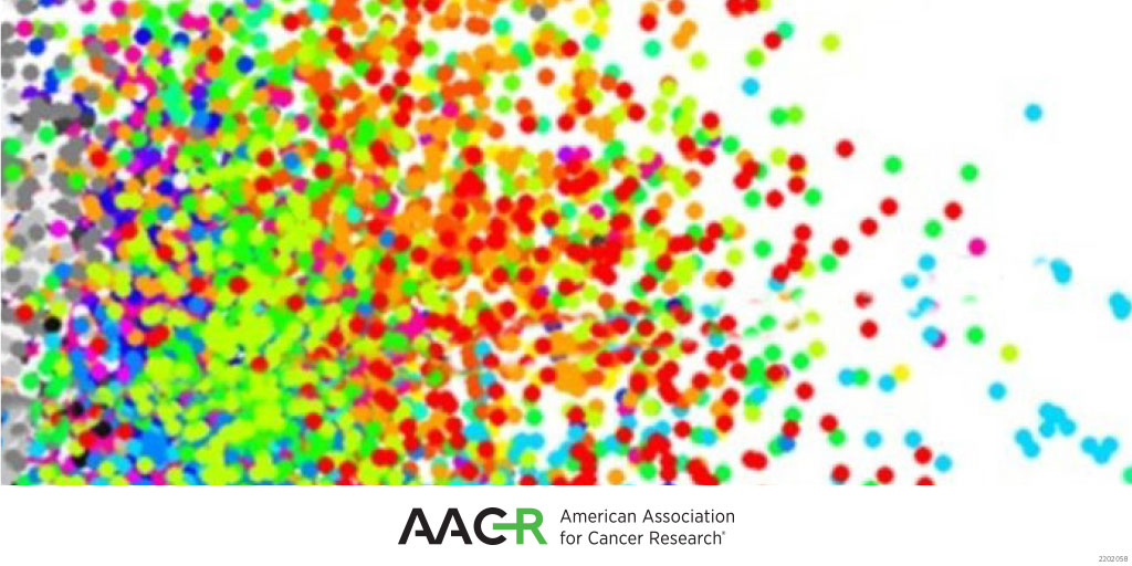 BCD_AACR's tweet photo. Check out the Blood Cancer Discovery paper highlighted in the latest AACR Journals collection on #PredictiveBiomarkers.
https://t.co/RyJFs2F6yh https://t.co/TyngQLzzzf