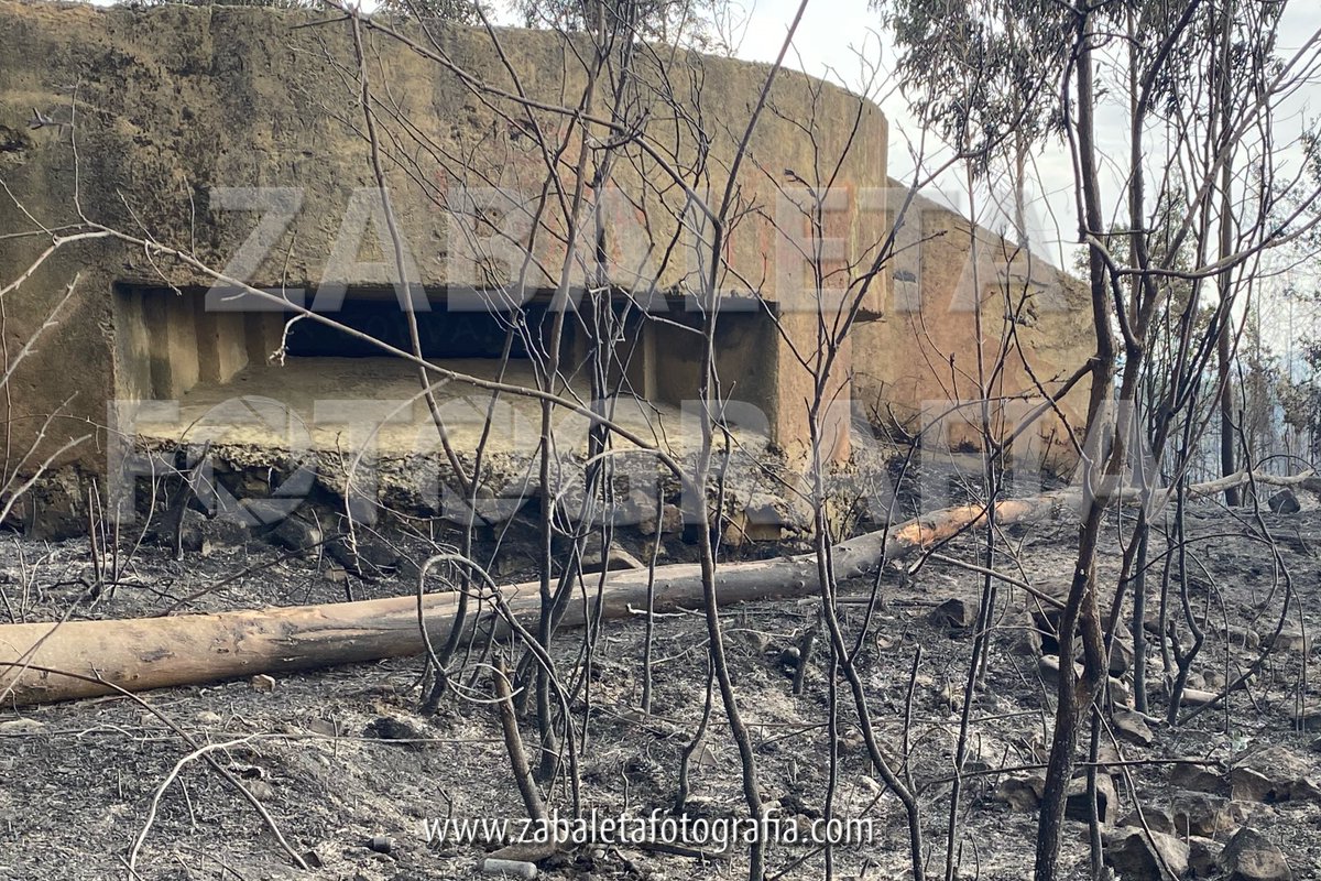 🔴🟢⚪️ Errautsen artean, Gerra Zibileko bunker baten ondoan, gure ikurrinak eta ondoan dituen lore-sortak paisaia grisari kolorea ematen diote #Berango-n. Gure ikono eta oroitzapenak suak ere ezin ditu suntsitu

#BasoSute #IncendioForestal