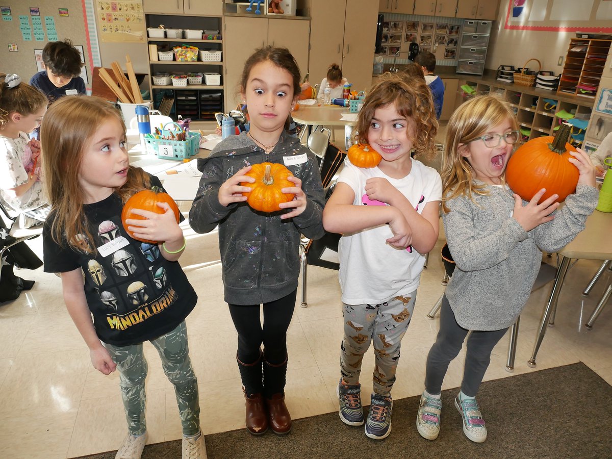Orange_Schools's tweet photo. MHS 1st graders truly had a "gut-sy" hands-on (&amp; hands-in!) experience when it came to their Pumpkin Mania Intersession. Each student brought in a pumpkin which was measured, weighed, rolled, &amp; loved! The results were tallied &amp; ahead of the 'carve'! #Strongertogether https://t.co/2Izok2mFVE