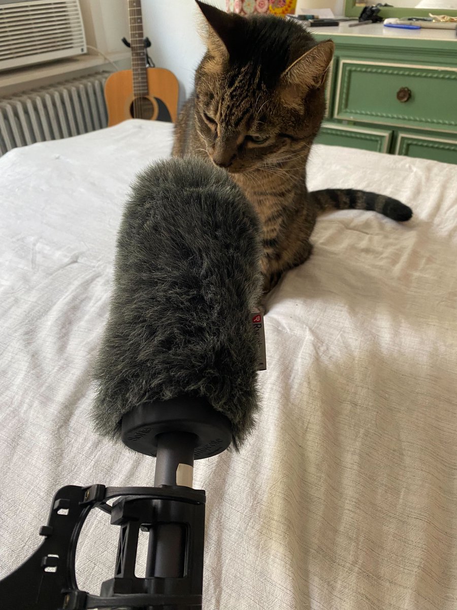 I'm back in the <a href="/scifri/">Science Friday</a> hosting saddle today, this time with the lovely <a href="/KatherineJWu/">Katherine J. Wu, Ph.D.</a>! We're talking about the AI Darth Vader voice, jellyfish as haute cuisine - and cats! You'll have to tune in to learn the context behind this photo.