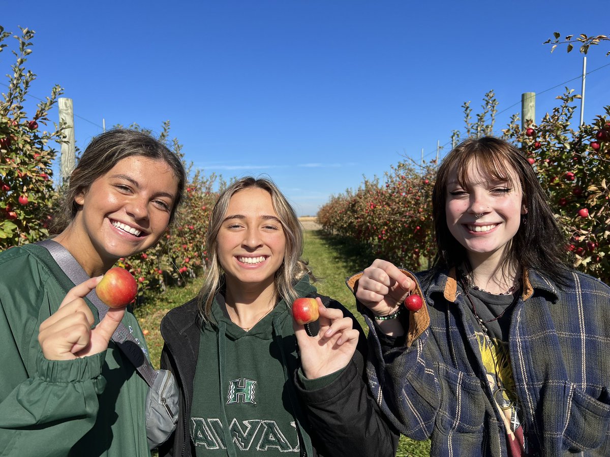 Cooking w/ Pope tweet media