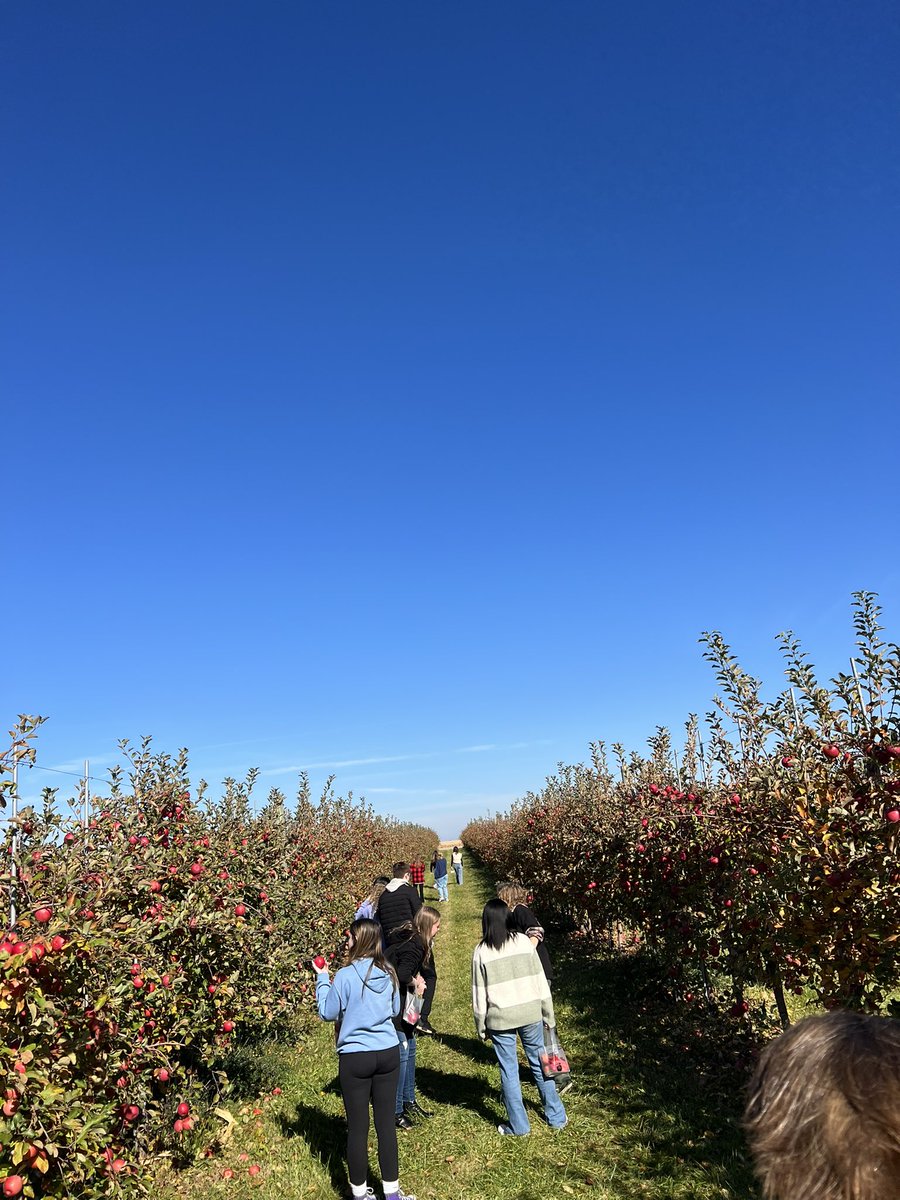 Cooking w/ Pope tweet media