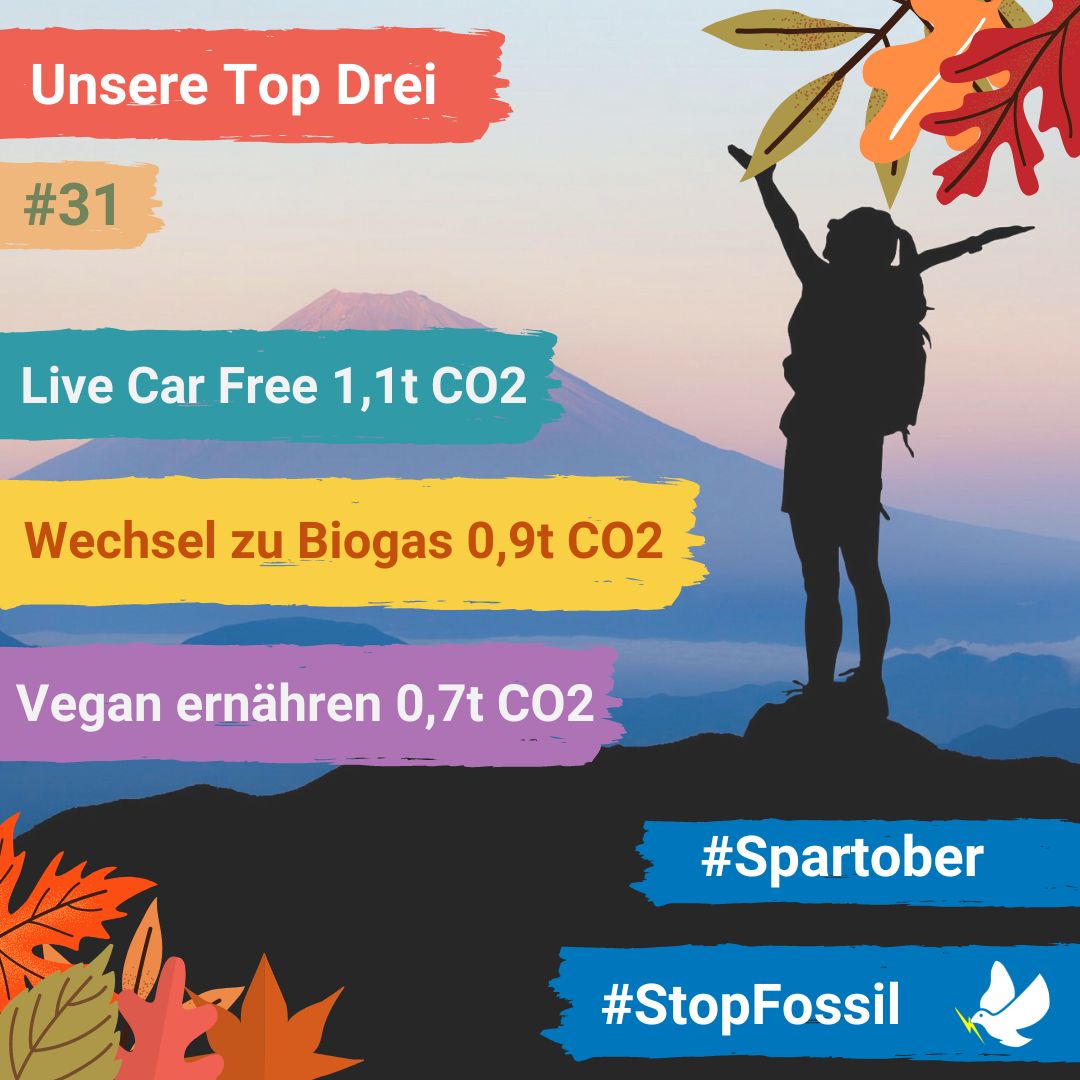 Stop-Fossil tweet media